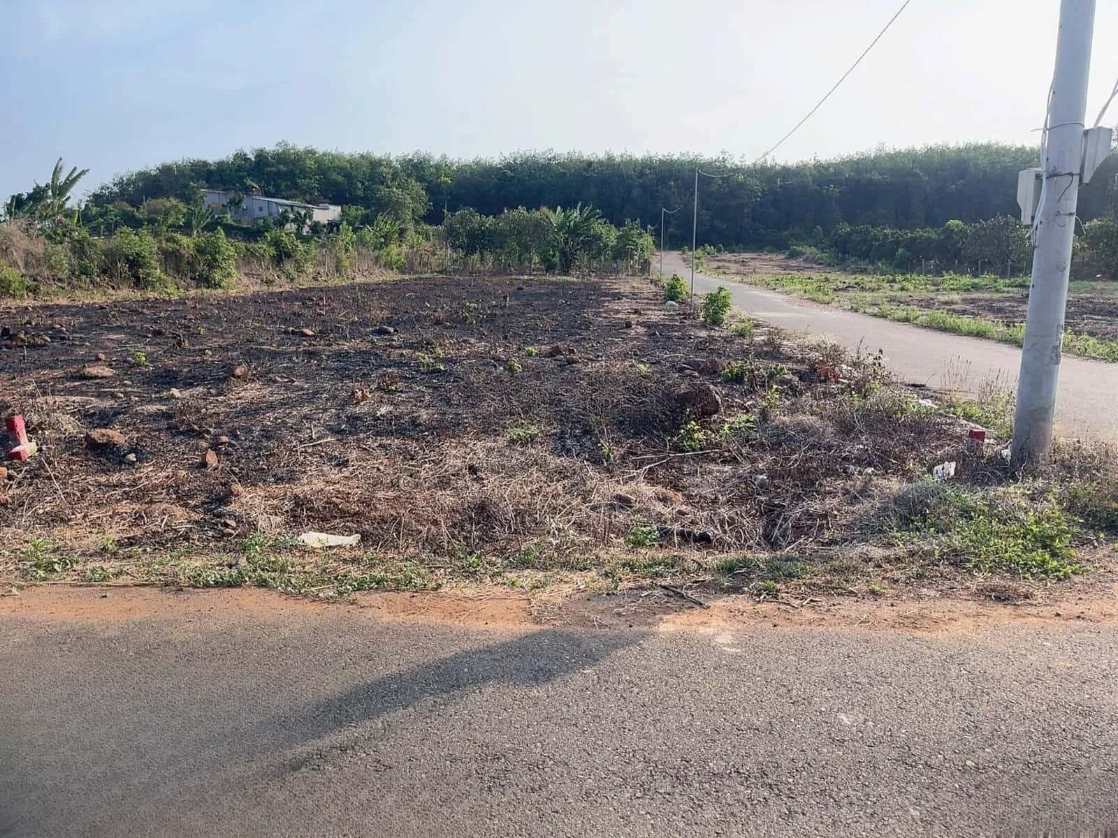 Bán đất đường Quảng Phú - Tân An Huyện Châu Đức, BRVT – giá 920 triệu
