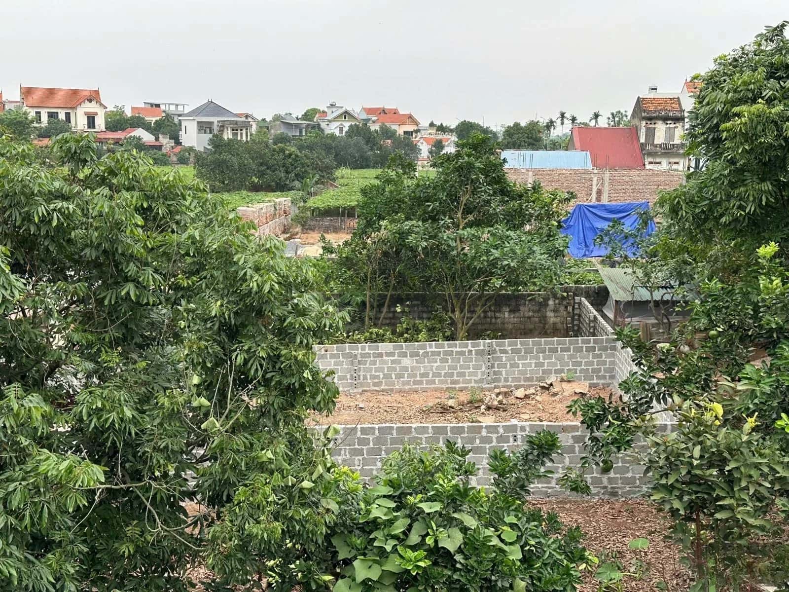 Bán đất đường 427 Huyện Thường Tín, TP. Hà Nội – giá 4.4 tỷ