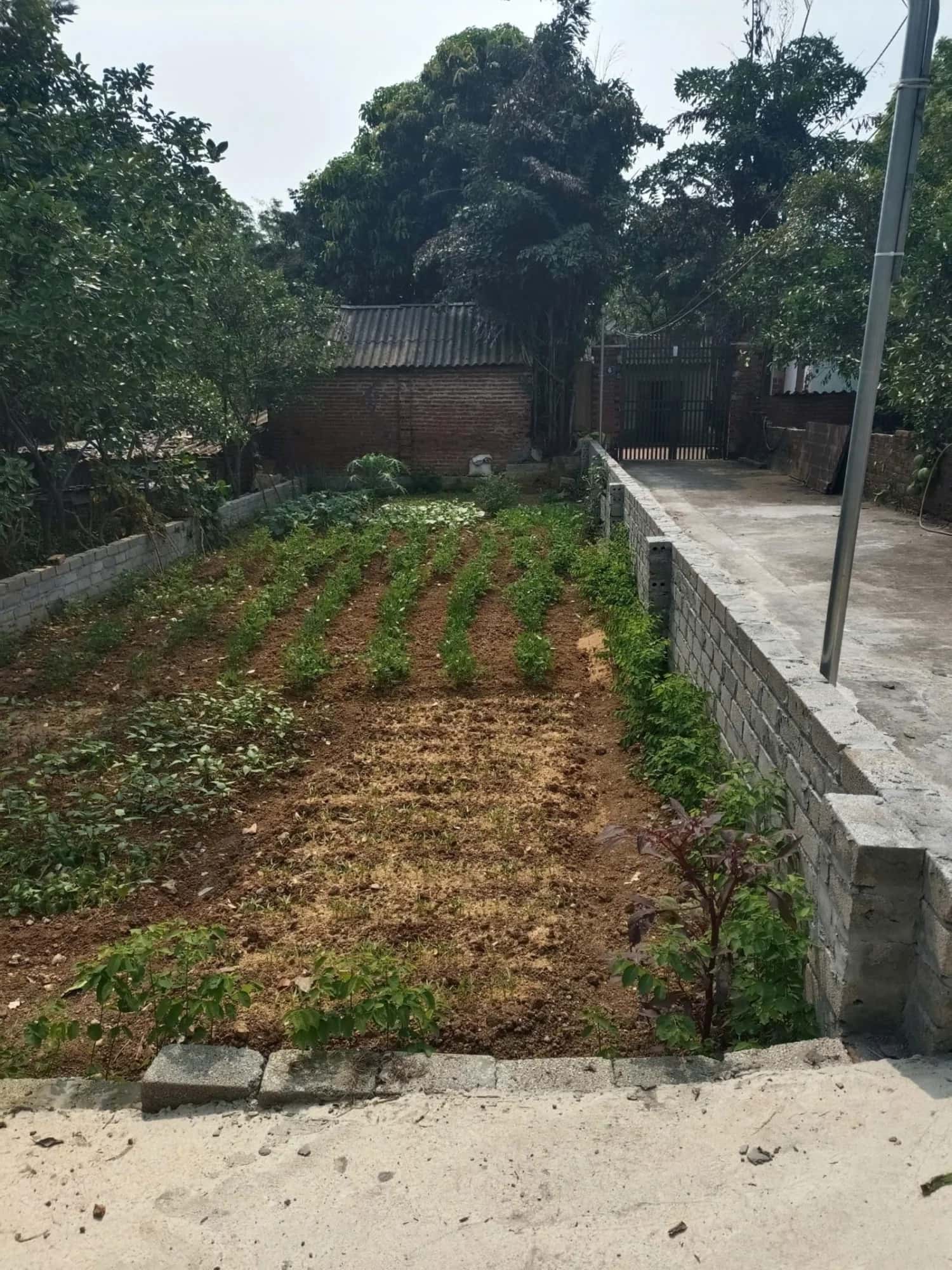 Bán đất Thôn Tam Cảnh Huyện Thạch Thất, TP. Hà Nội – giá 2.9 tỷ