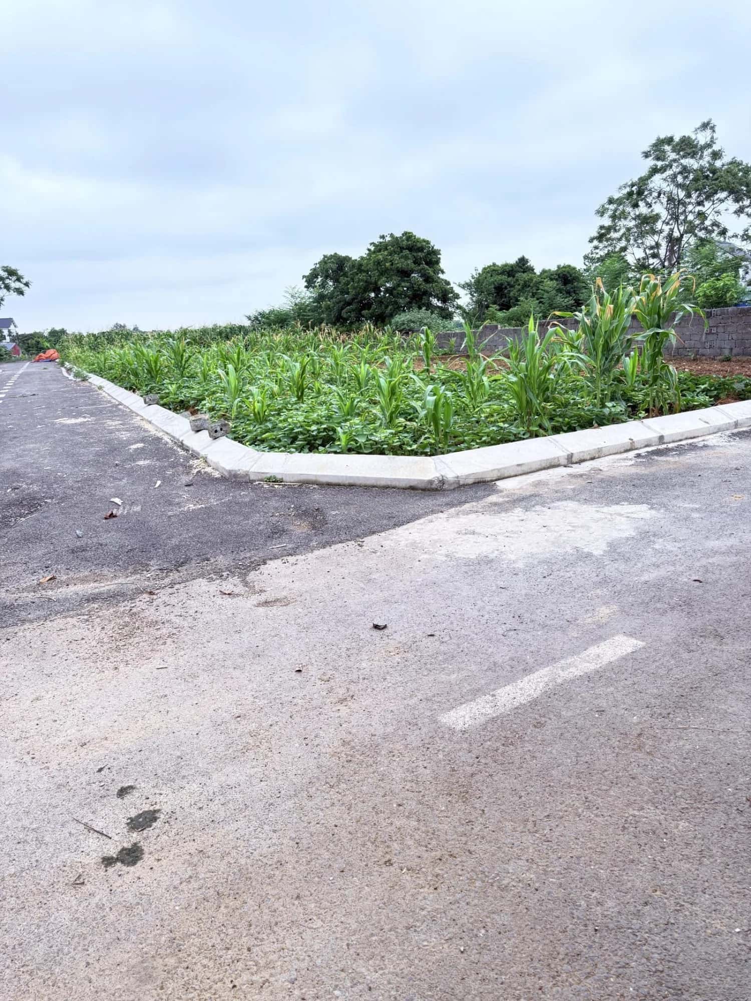 Bán đất thôn 2 Huyện Quốc Oai, TP. Hà Nội – giá 3.9 tỷ