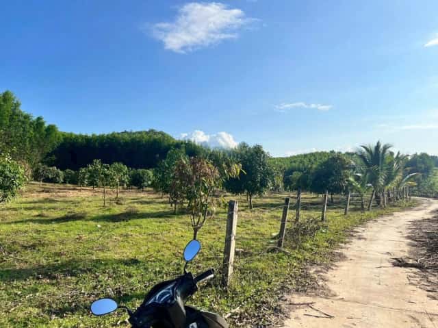 Bán đất thôn 5 Huyện Diên Khánh, Khánh Hòa – giá 1.1 tỷ