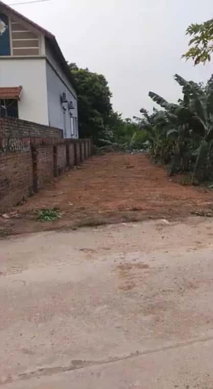 Bán đất hẻm đường DT309B, Thôn Đồng Bông Huyện Tam Dương, Vĩnh Phúc – giá 1.1 tỷ