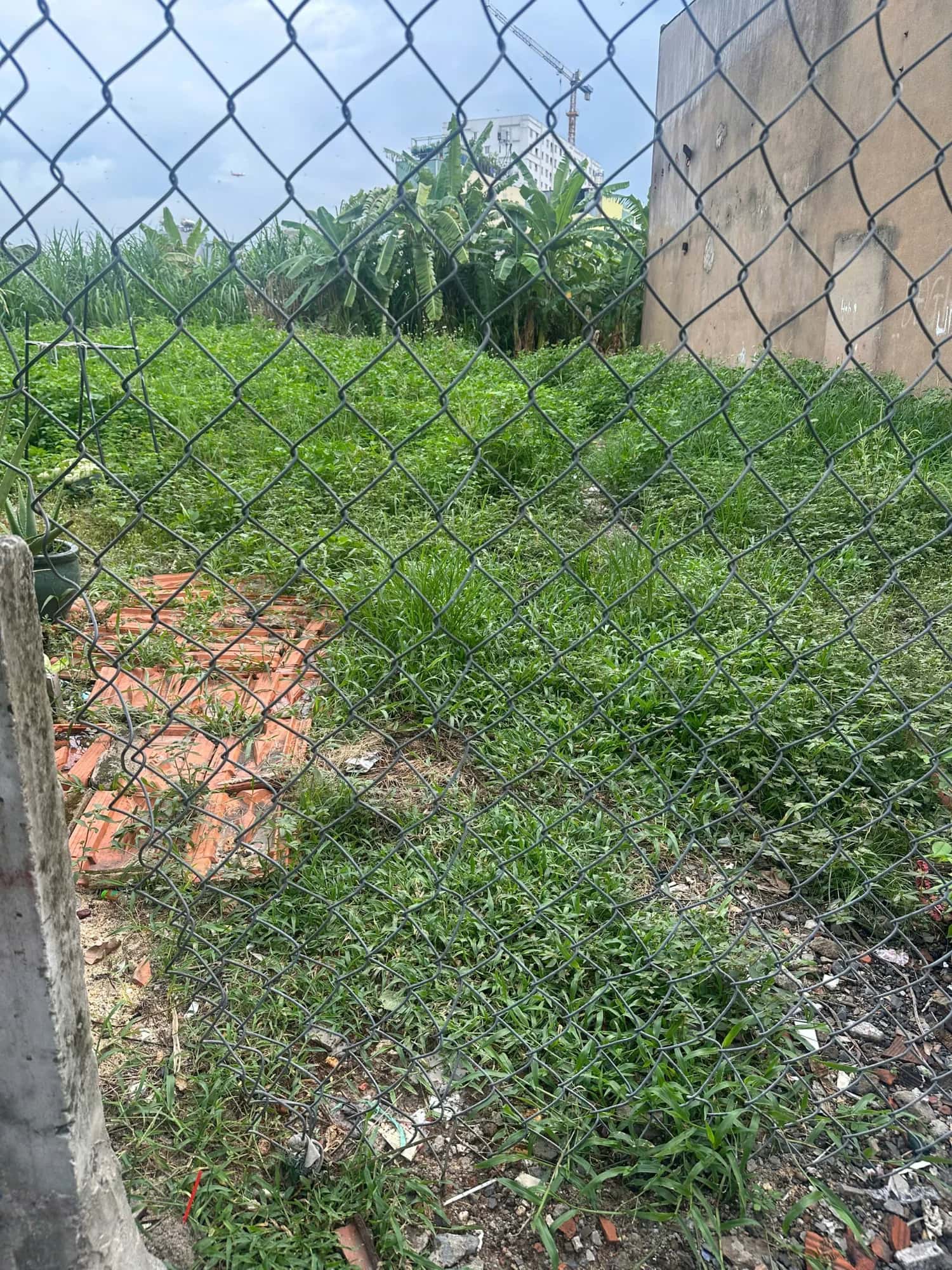 Bán đất hẻm Đường Trần Thị Trọng Quận Tân Bình, TP.HCM – giá 6 tỷ