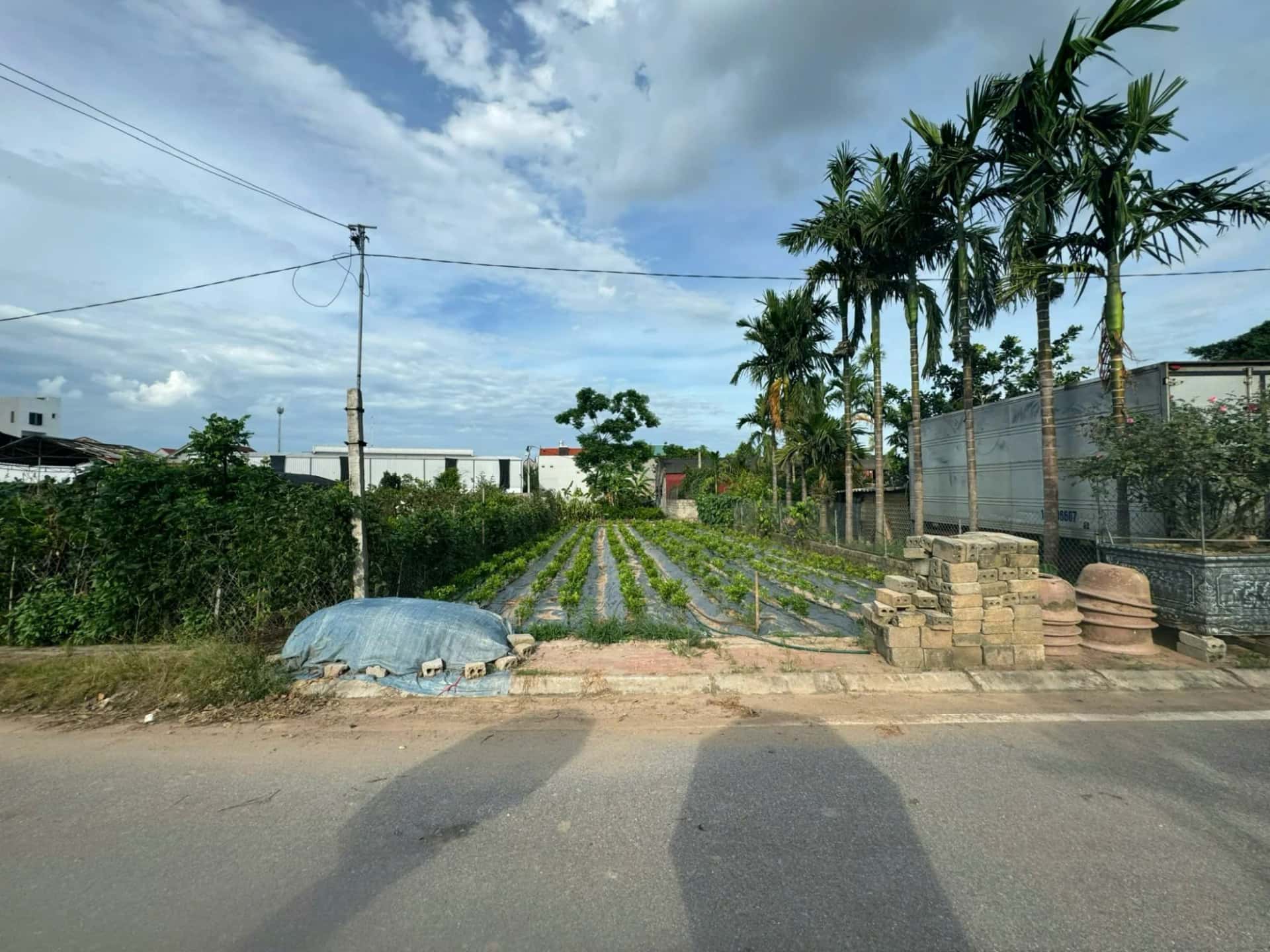 Bán đất Thôn Phù Bãi Huyện Văn Giang, Hưng Yên – giá 8.5 tỷ