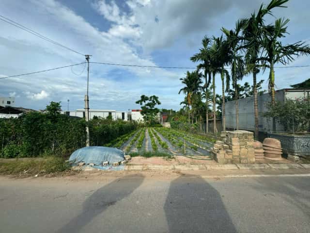 Bán đất Thôn Phù Bãi Huyện Văn Giang, Hưng Yên – giá 8.5 tỷ