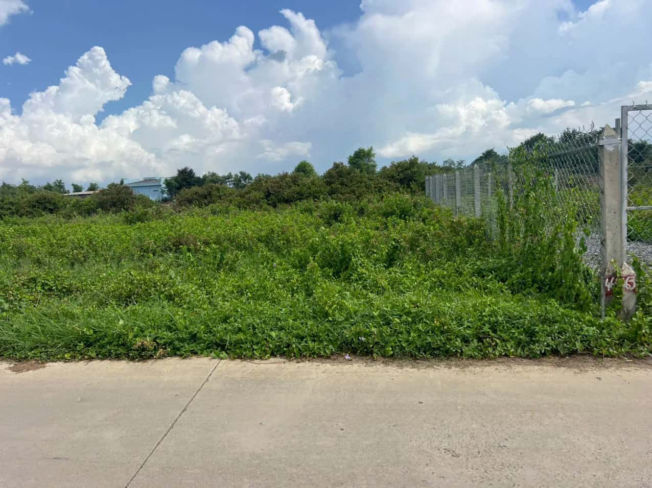 Bán đất Đường Sáu TRong, ấp Bà Lẫy 1 Huyện Gò Công Đông, Tiền Giang – giá 280 triệu