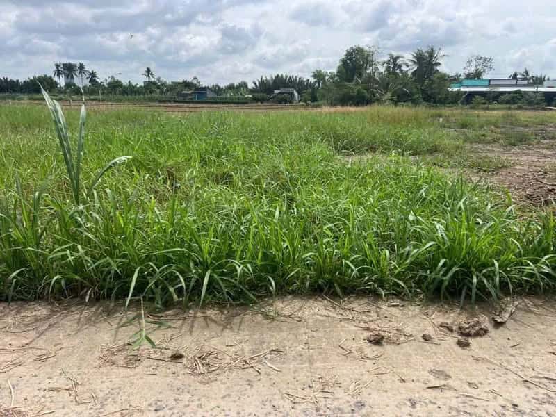 Bán đất ấp Thanh Nhung 1 Huyện Gò Công Đông, Tiền Giang – giá 200 triệu