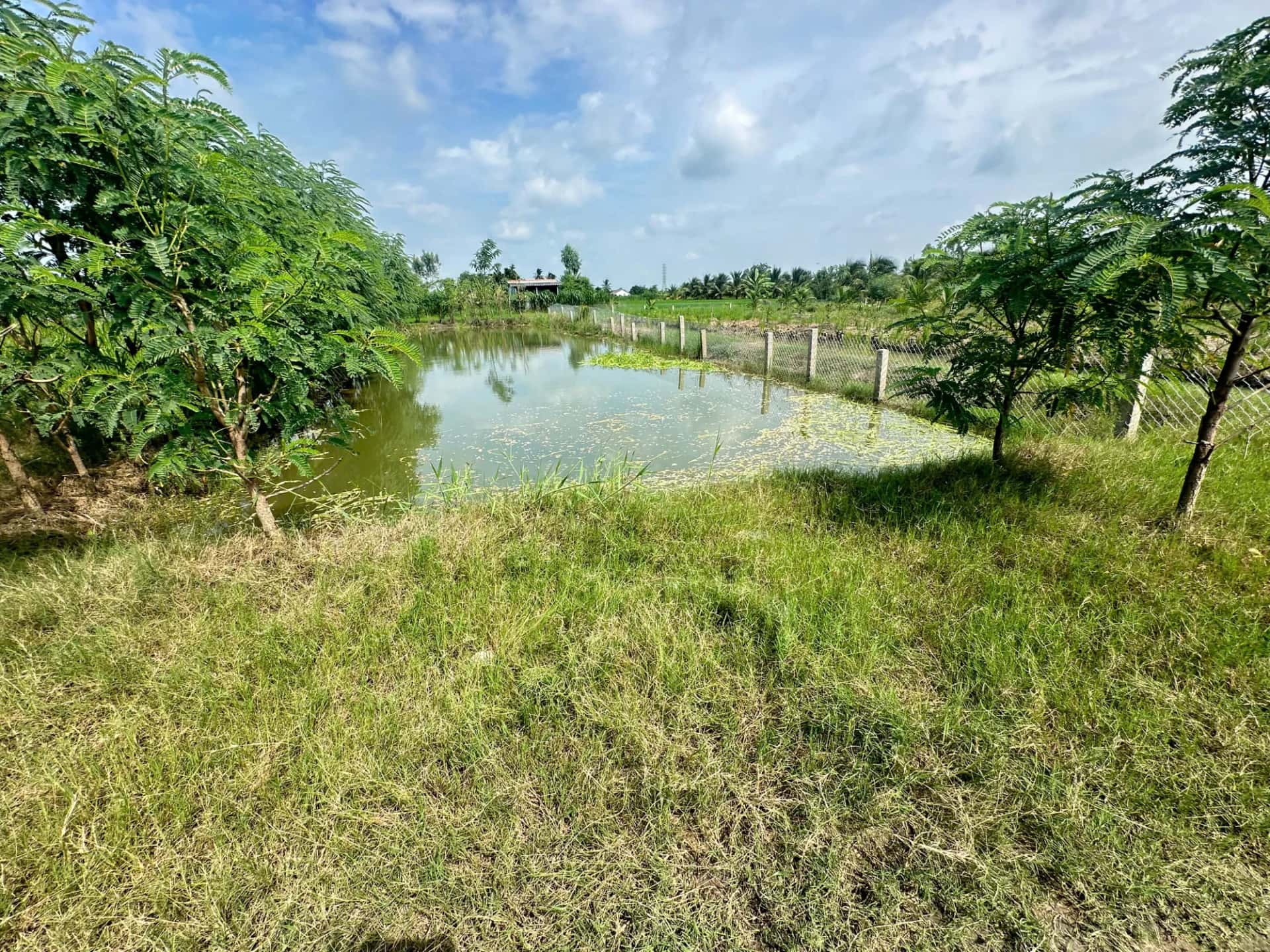 Bán đất khu phố Long Phước Thành phố Gò Công, Tiền Giang – giá 870 triệu