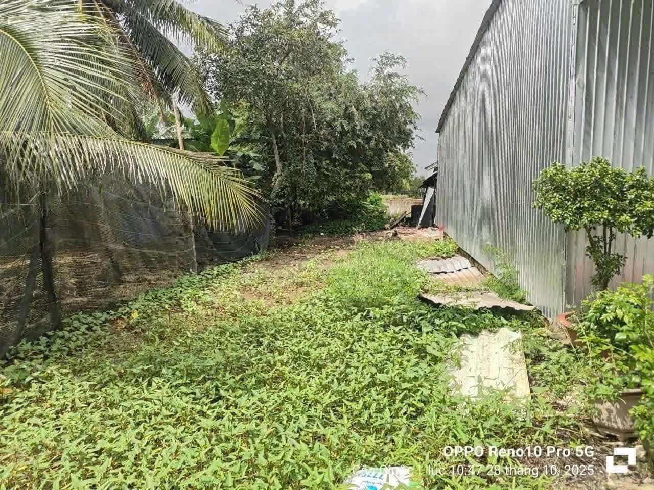 Bán đất Khu phố Hòa Thuận 2 Huyện Cần Giuộc, Long An – giá 750 triệu