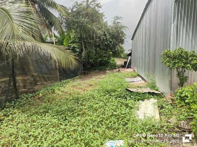 Bán đất Khu phố Hòa Thuận 2 Huyện Cần Giuộc, Long An – giá 750 triệu