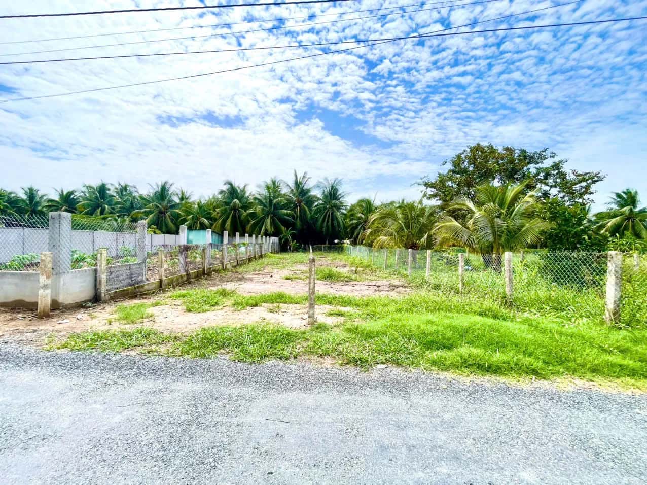 Bán đất Đường Phú Hòa, ấp Bình Ninh Huyện Chợ Gạo, Tiền Giang – giá 427 triệu