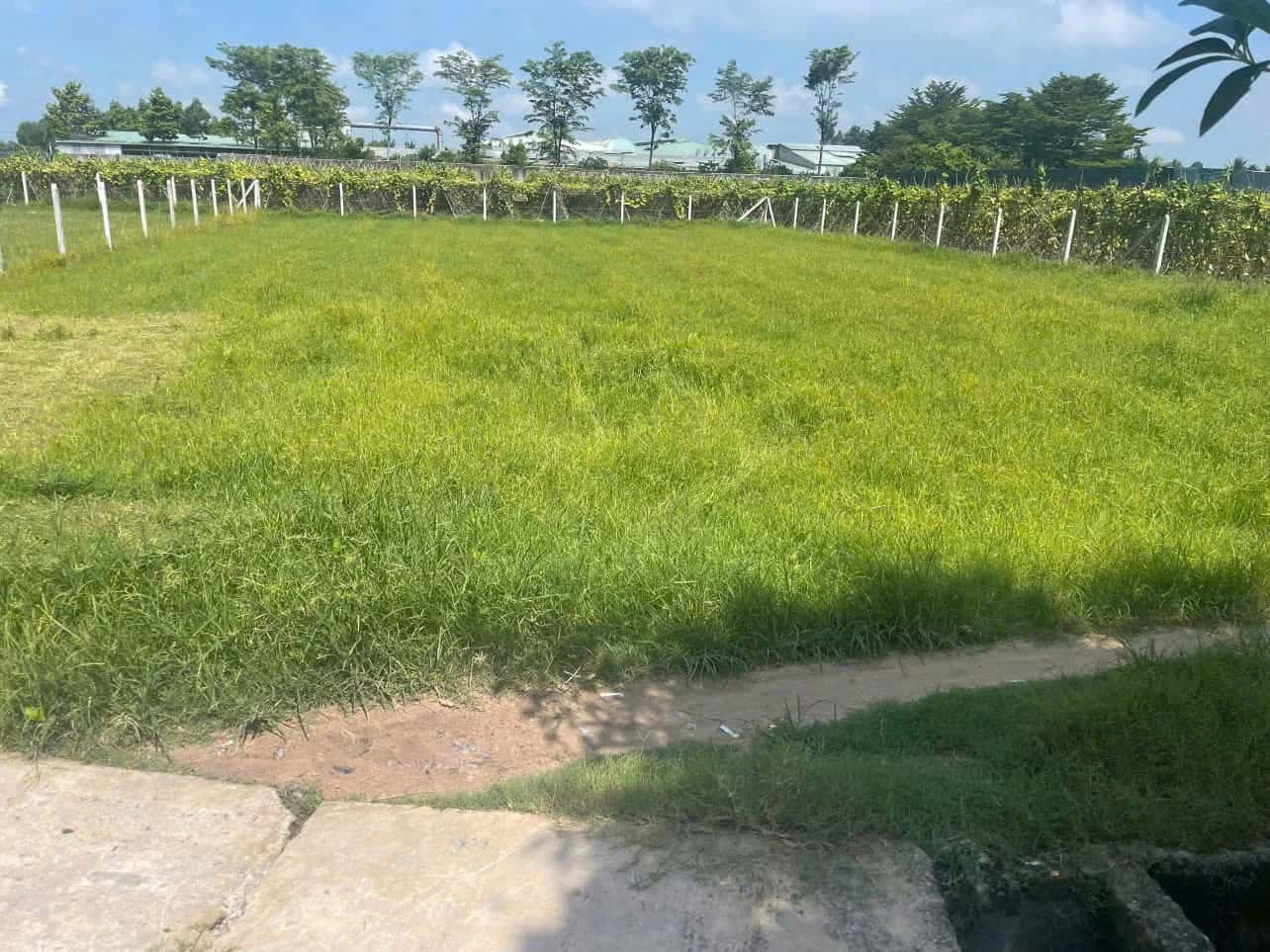Bán đất ấp Mỹ Thạnh B Huyện Củ Chi, TP.HCM – giá 1.4 tỷ