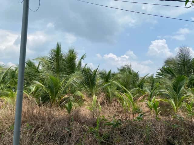 Bán đất ấp 5 Huyện Bến Lức, Long An – giá 3 tỷ