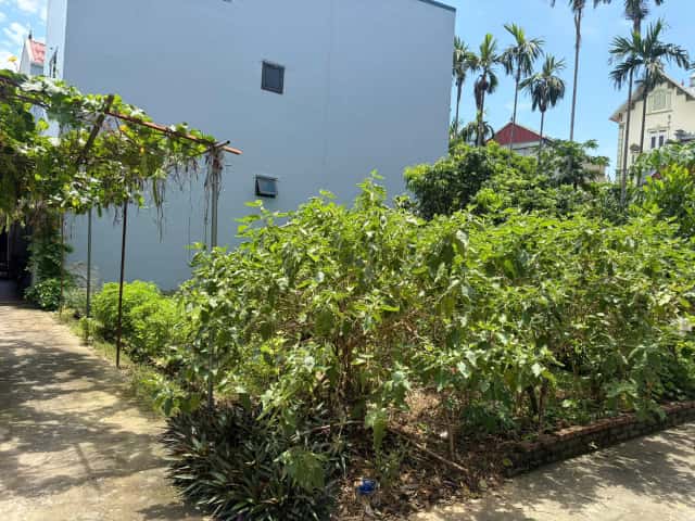 Bán đất Thôn Đạo Ngạn  Huyện Chương Mỹ, TP. Hà Nội – giá 2.1 tỷ