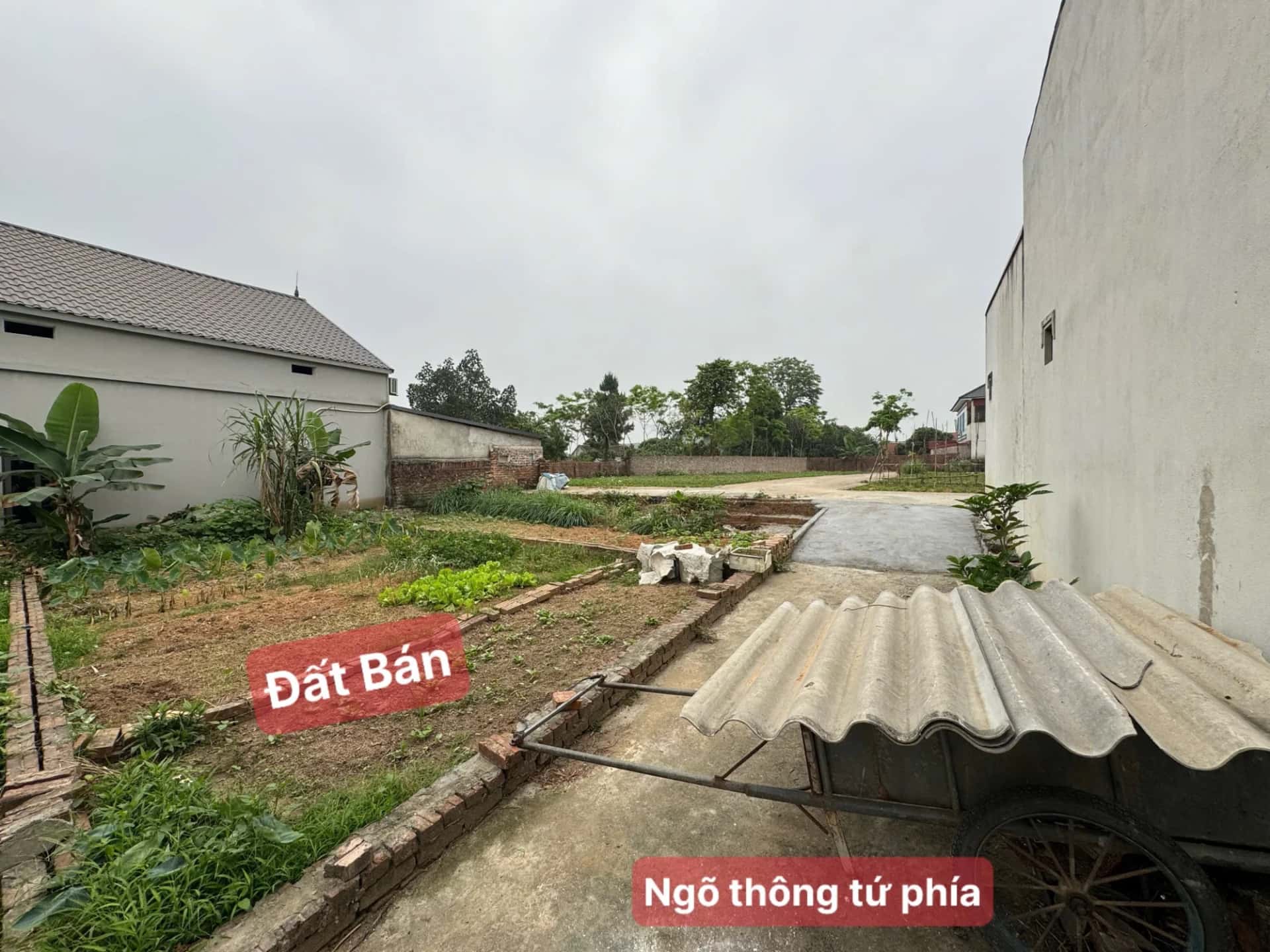 Bán đất thôn Thanh Lại Huyện Sóc Sơn, TP. Hà Nội – giá 1.4 tỷ
