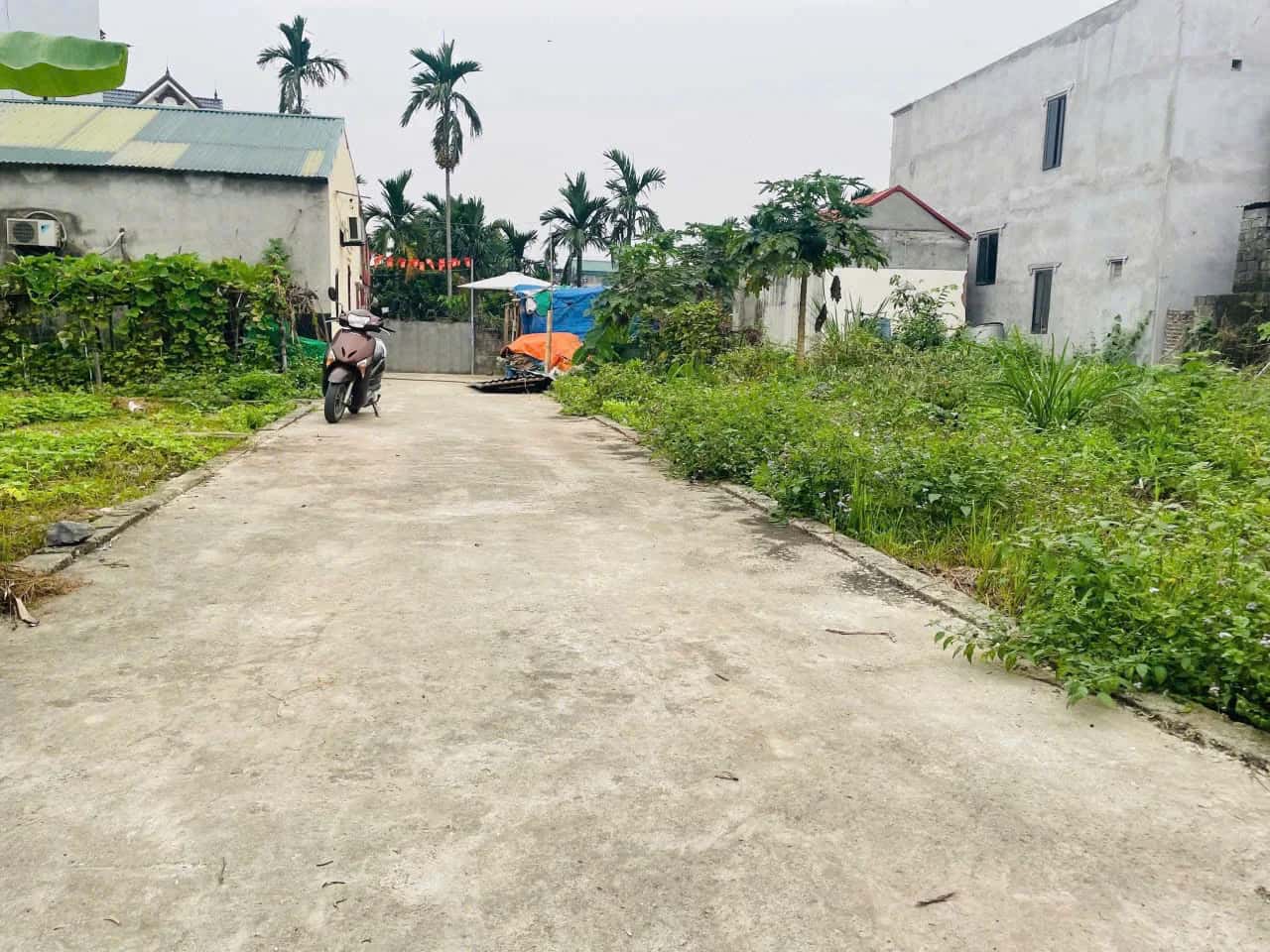 Bán đất Thôn Thọ Huyện Mỹ Đức, TP. Hà Nội – giá 730 triệu