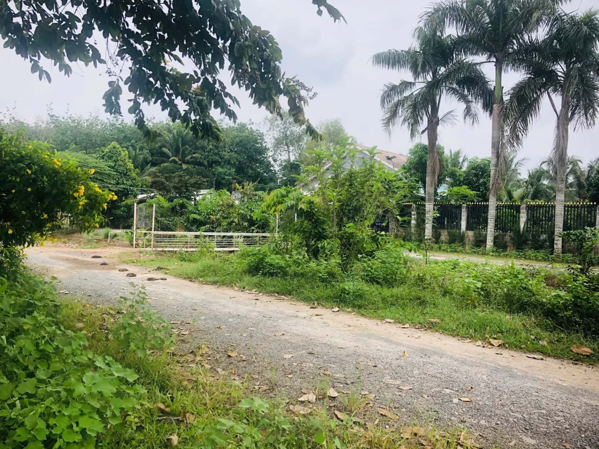 Bán đất Bà Thiên Huyện Củ Chi, TP.HCM – giá 2 tỷ