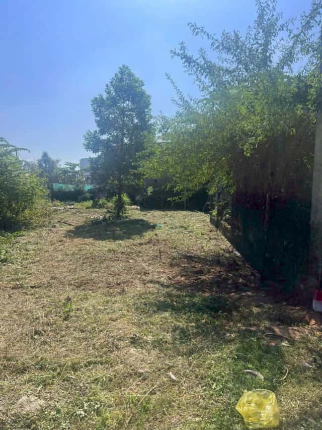 Bán đất Trịnh Cương Thị xã Hương Thủy, TP. Huế – giá 900 triệu Bán đất Trịnh Cương Thị xã Hương Thủy, TP. Huế – giá 900 triệu