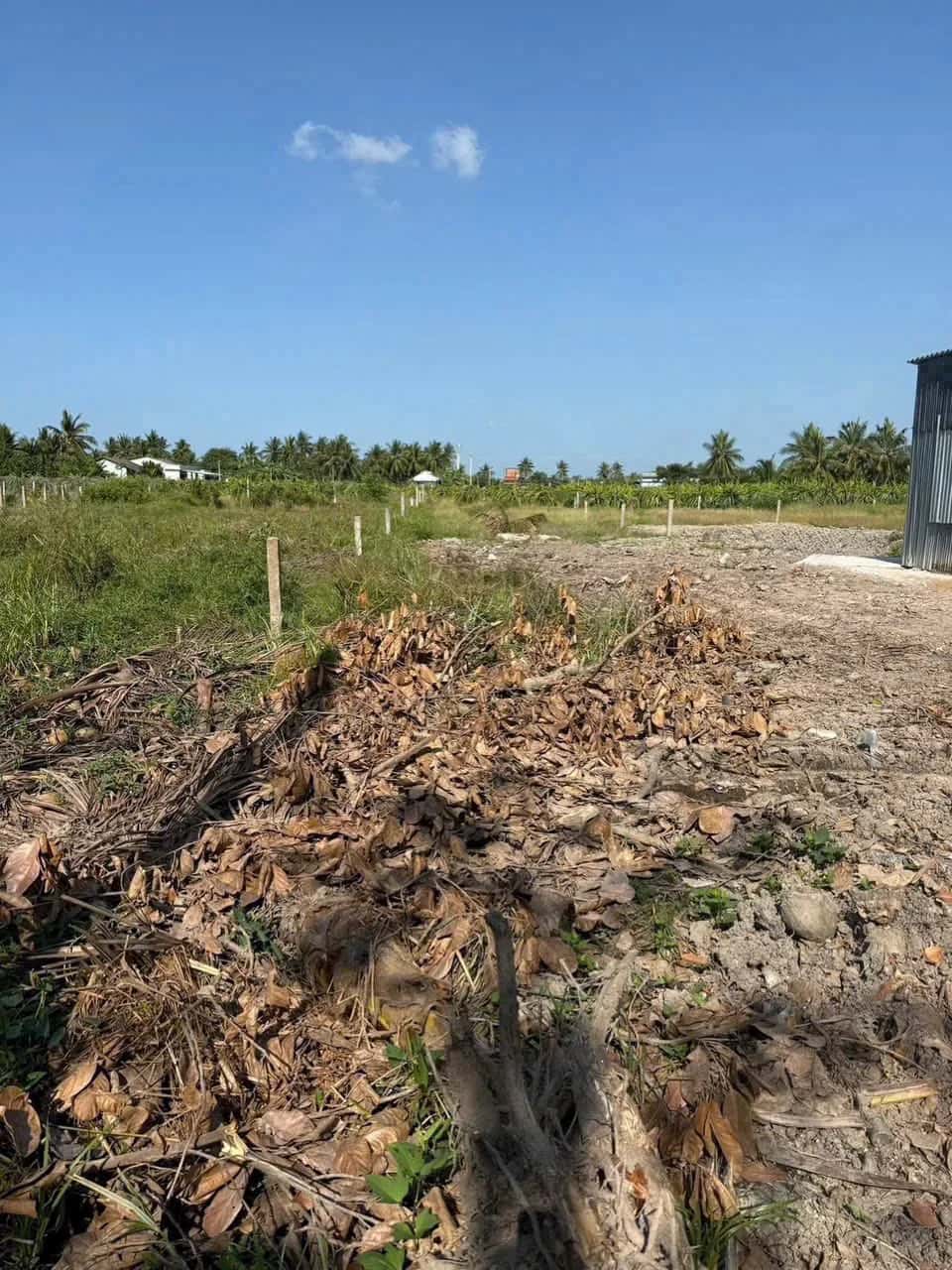 Bán đất Ấp Phú Xuân 2 Huyện Châu Thành, Long An – giá 599 triệu