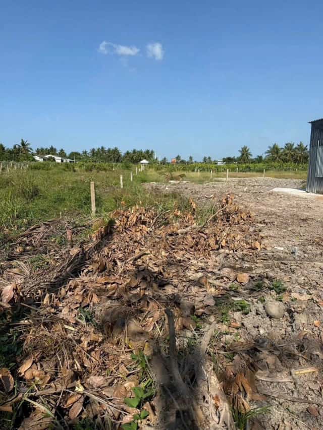 Bán đất Ấp Phú Xuân 2 Huyện Châu Thành, Long An – giá 599 triệu