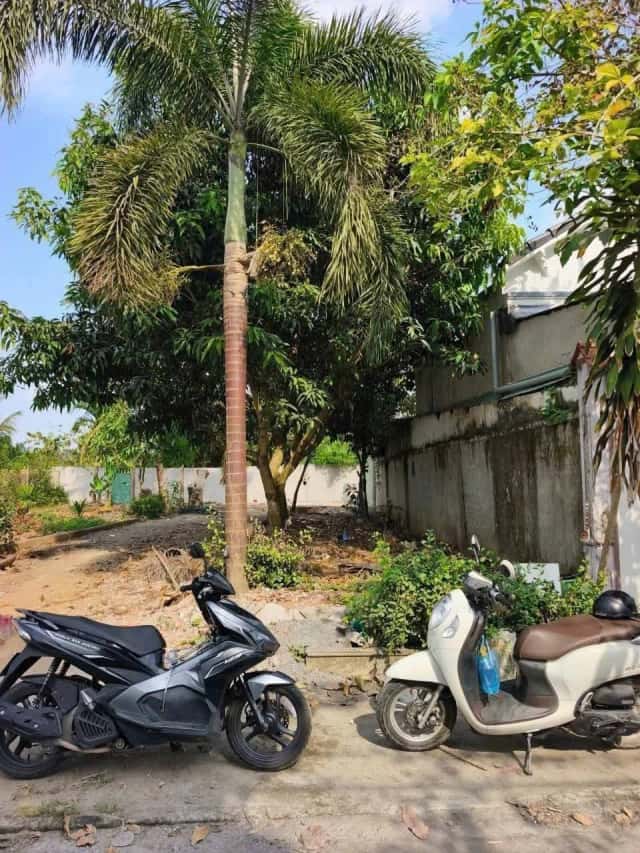 Bán đất Hẻm 2 Đường Bùi Hữu Nghĩa  Quận Bình Thuỷ, TP. Cần Thơ – giá 1.9 tỷ