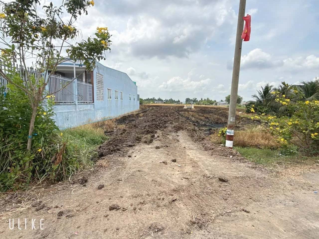 Bán đất đường Cao Thị Mai Huyện Tân Trụ, Long An – giá 1.4 tỷ