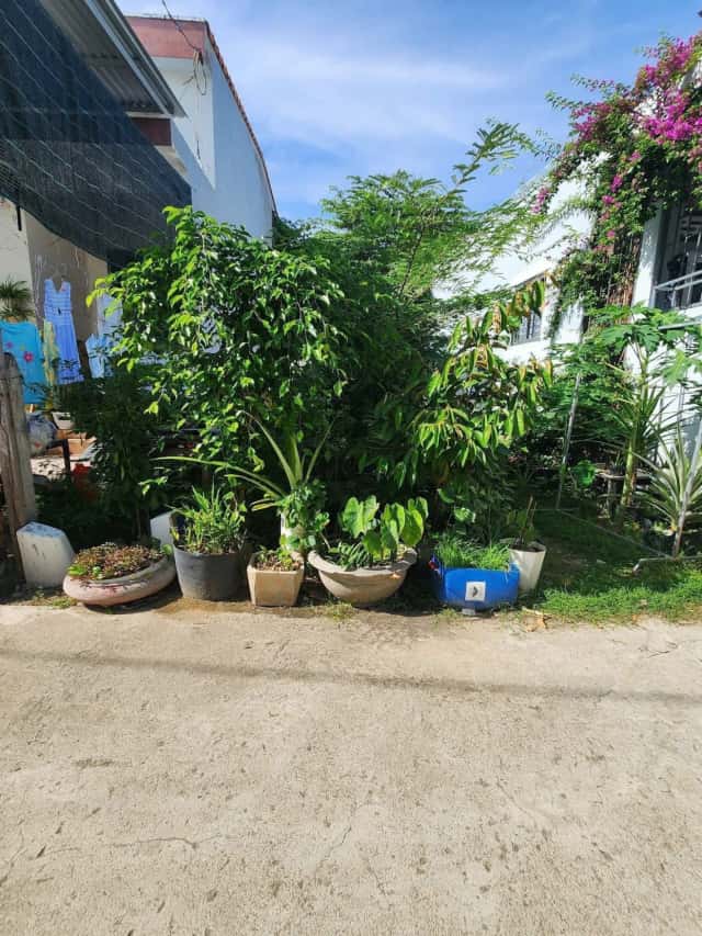 Bán đất Thông Tin, thôn Phú Ân Nam 2 Huyện Diên Khánh, Khánh Hòa – giá 1.9 tỷ
