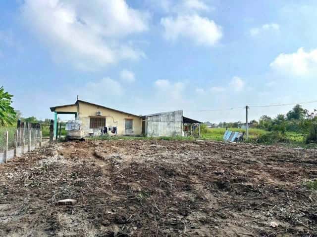 Bán đất Hẻm 81 Cử Luyện, khu phố Bình Phú Thành phố Tân An, Long An – giá 700 triệu