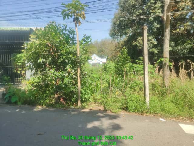 Bán đất Đường Phú An 023 Thành phố Bến Cát, Bình Dương – giá 1.6 tỷ Bán đất Đường Phú An 023 Thành phố Bến Cát, Bình Dương – giá 1.6 tỷ