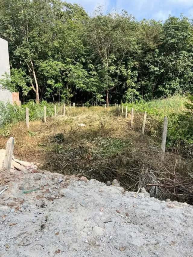 Bán đất Đường Phú An 028 Thành phố Bến Cát, Bình Dương – giá 1.6 tỷ