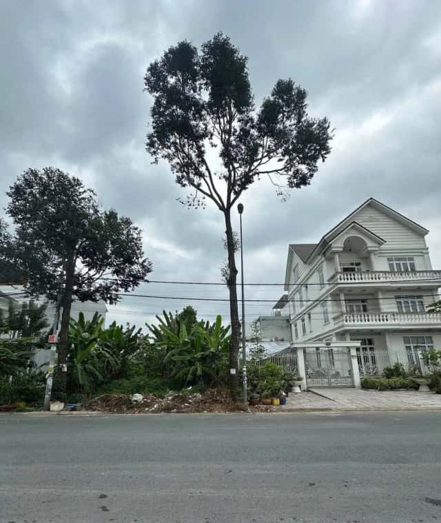 Bán đất KDC Long Thịnh Quận Cái Răng, TP. Cần Thơ – giá 7.8 tỷ Bán đất KDC Long Thịnh Quận Cái Răng, TP. Cần Thơ – giá 7.8 tỷ