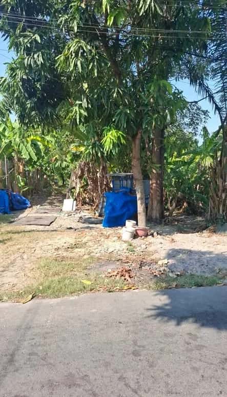 Bán đất đường số 25 Huyện Củ Chi, TP.HCM – giá 20 tỷ