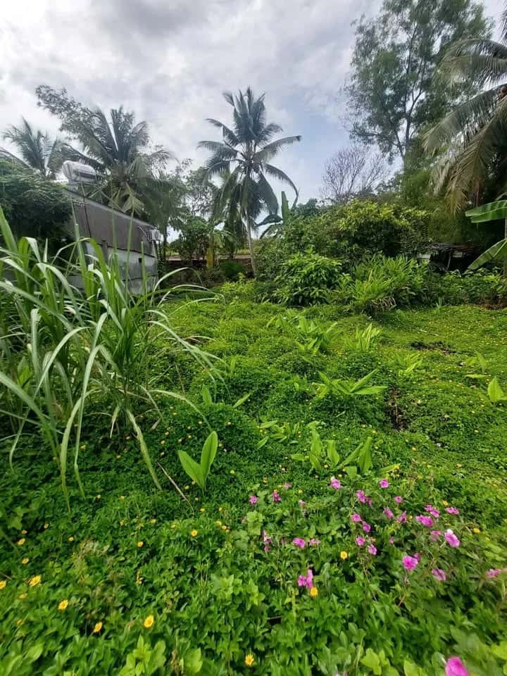 Bán đất Khu Vực Bình Yên B Quận Bình Thuỷ, TP. Cần Thơ – giá 980 triệu