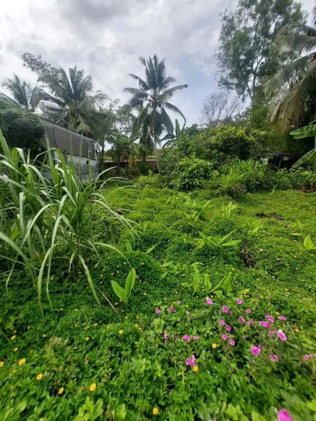 Bán đất Khu Vực Bình Yên B Quận Bình Thuỷ, TP. Cần Thơ – giá 980 triệu
