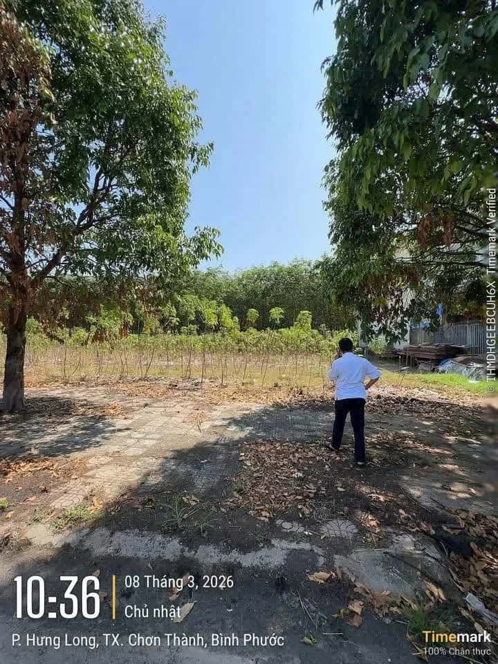 Bán đất Đường Nguyễn Văn Linh Thị xã Chơn Thành, Bình Phước – giá 1.4 tỷ