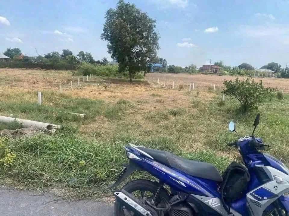 Bán đất Đường Ao Gòn (Đường Huyện 19/5) Huyện Cần Đước, Long An – giá 2.7 tỷ