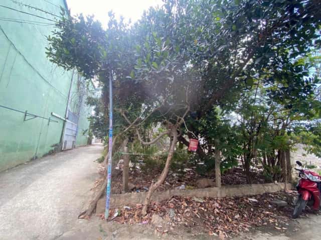Bán đất Thôn Xuân Ngọc Thành phố Nha Trang, Khánh Hòa – giá 1.8 tỷ