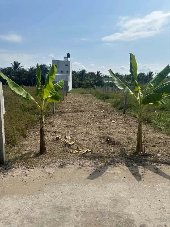 Bán đất hẻm đường Mỹ Hưng Thành phố Mỹ Tho, Tiền Giang – giá 750 triệu