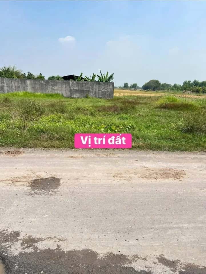 Bán đất ấp Bình Lợi  Huyện Đức Hòa, Long An – giá 1.3 tỷ