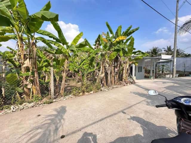 Bán đất Nguyễn Viết Xuân – Khu 91B Quận Bình Thuỷ, TP. Cần Thơ – giá 1.1 tỷ