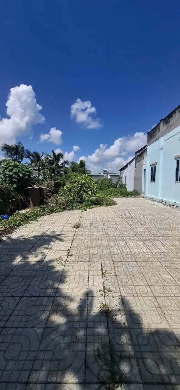Bán đất đường Tân Hội  Huyện Đức Hòa, Long An – giá 5.8 tỷ