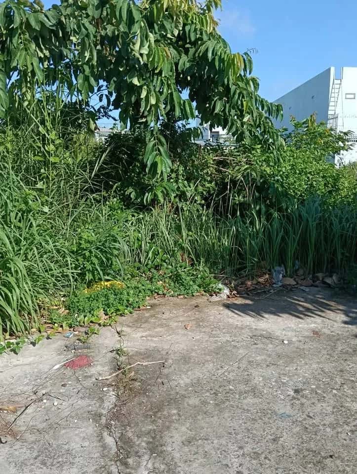 Bán đất đường Võ Văn Tịnh, ấp Cầu Xây  Huyện Thủ Thừa, Long An – giá 2.9 tỷ