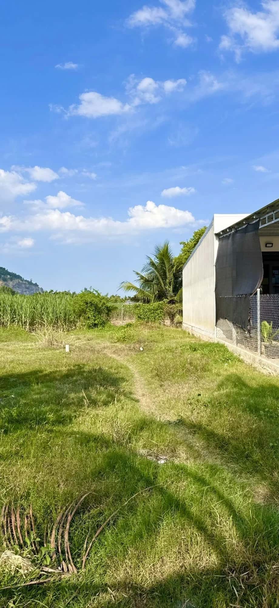 Bán đất đường DT8 Huyện Diên Khánh, Khánh Hòa – giá 1.1 tỷ