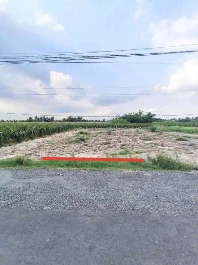 Bán đất Huỳnh Châu Sổ Thành phố Tân An, Long An – giá 1.5 tỷ