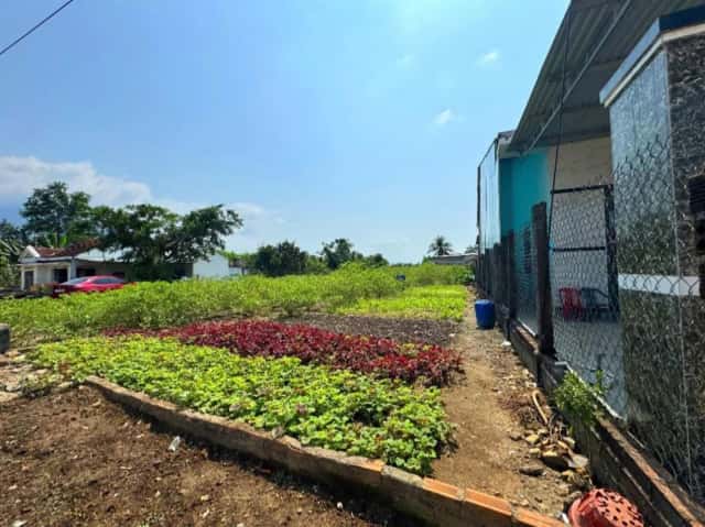 Bán đất thôn Xuân Nam Huyện Diên Khánh, Khánh Hòa – giá 1.5 tỷ