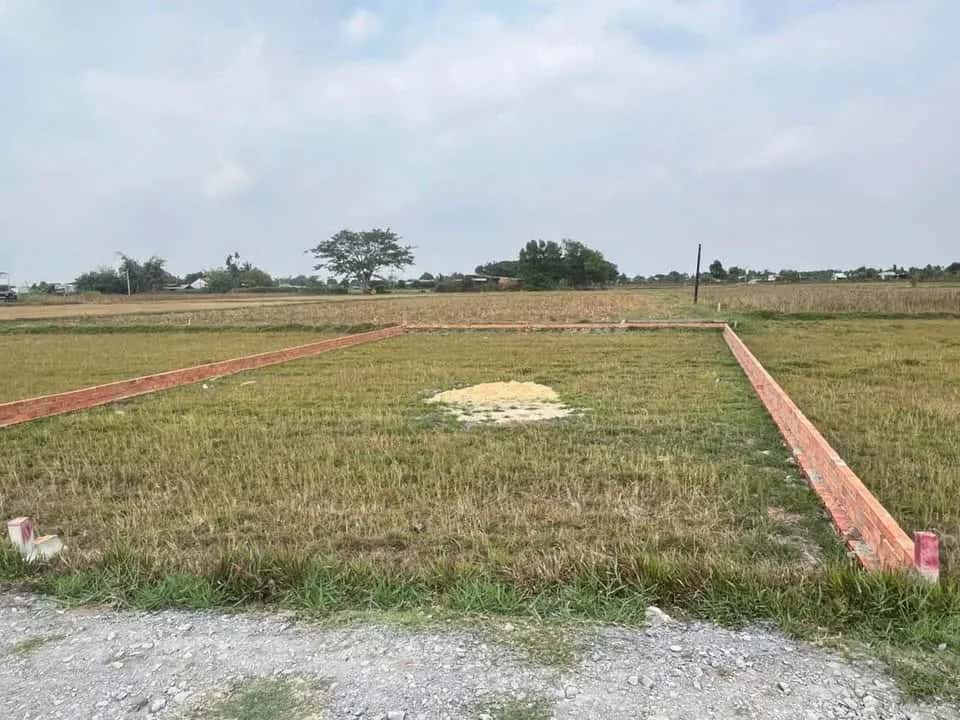 Bán đất đường 823D Huyện Đức Hòa, Long An – giá 550 triệu