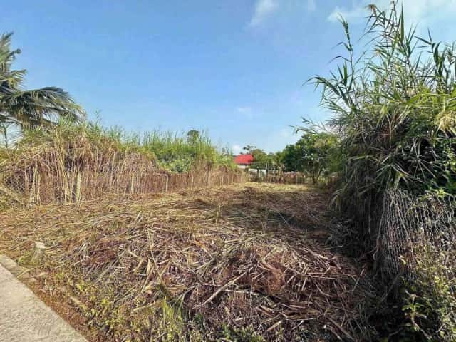 Bán đất Bùi Tấn Thành phố Tân An, Long An – giá 630 triệu