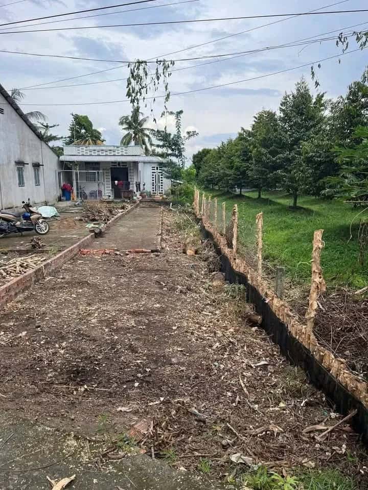 Bán đất Ấp Mỹ Hòa Huyện Phong Điền, TP. Cần Thơ – giá 730 triệu