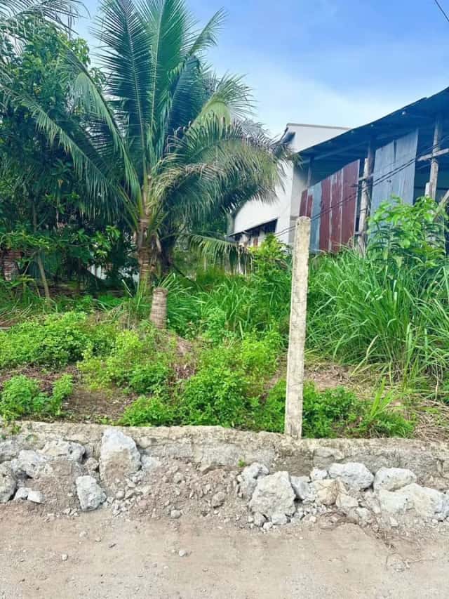 Bán đất thôn Xuân Phú 1  Huyện Diên Khánh, Khánh Hòa – giá 590 triệu