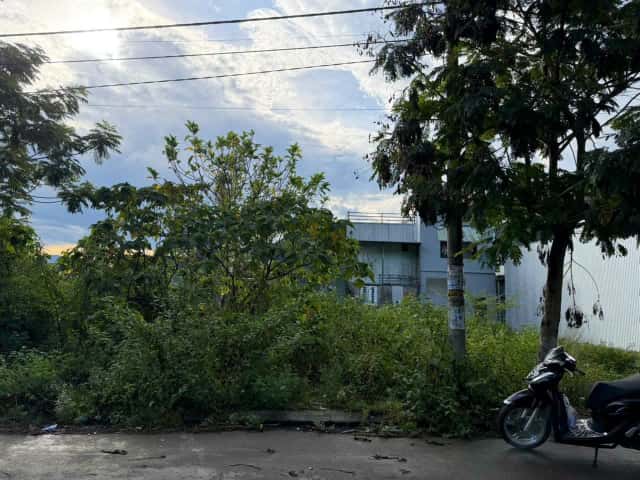 Bán đất Đại La 2 , TĐC Đại La Huyện Hòa Vang, TP. Đà Nẵng – giá 2.5 tỷ